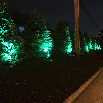 LED Garten Spot / Landschaft Lichter