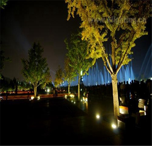 Edelstahl-Gartenbeleuchtung des Edelstahls 316 führte inground Baumlichter